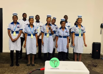NURSING AND MIDWIFERY COUNCIL OF ZAMBIA ENGAGES STAKEHOLDERS ON DIPLOMA NURSING CURRICULUM.
