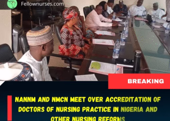NANNM and NMCN Meet Over Accreditation of Doctor Of Nursing  Practice programs in Nigeria and Key Nursing Reforms