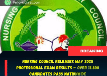 Nursing Council Releases May 2025 Professional Exam Results — Over 13,800 Nurses Pass Nationwide