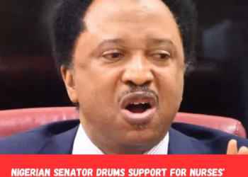 Nigerian Senator Drums Support for Nurses’ Strike, Urges Urgent Government Intervention