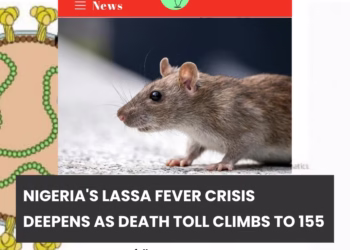 Nigeria’s Lassa Fever Crisis Deepens as Death Toll Climbs to 155