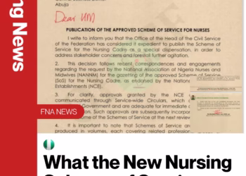 What the New Nursing Scheme of Service Means for Your Career: A Complete Guide
