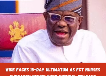 Wike Faces 15-Day Ultimatum as FCT Nurses Threaten Strike Over Critical Welfare Issues