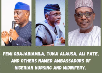 Femi Gbajabiamila, Tunji Alausa, Ali Pate, and Others Named Ambassadors of Nigerian Nursing and Midwifery