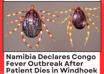 Namibia Declares Congo Fever Outbreak After Patient Dies in Windhoek