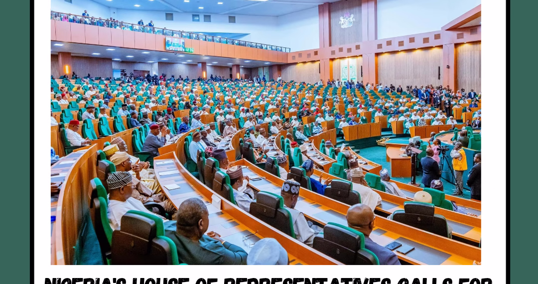 Nigeria’s House of Representatives calls for expanded internship places for nursing and allied health graduates