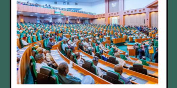 Nigeria’s House of Representatives calls for expanded internship places for nursing and allied health graduates