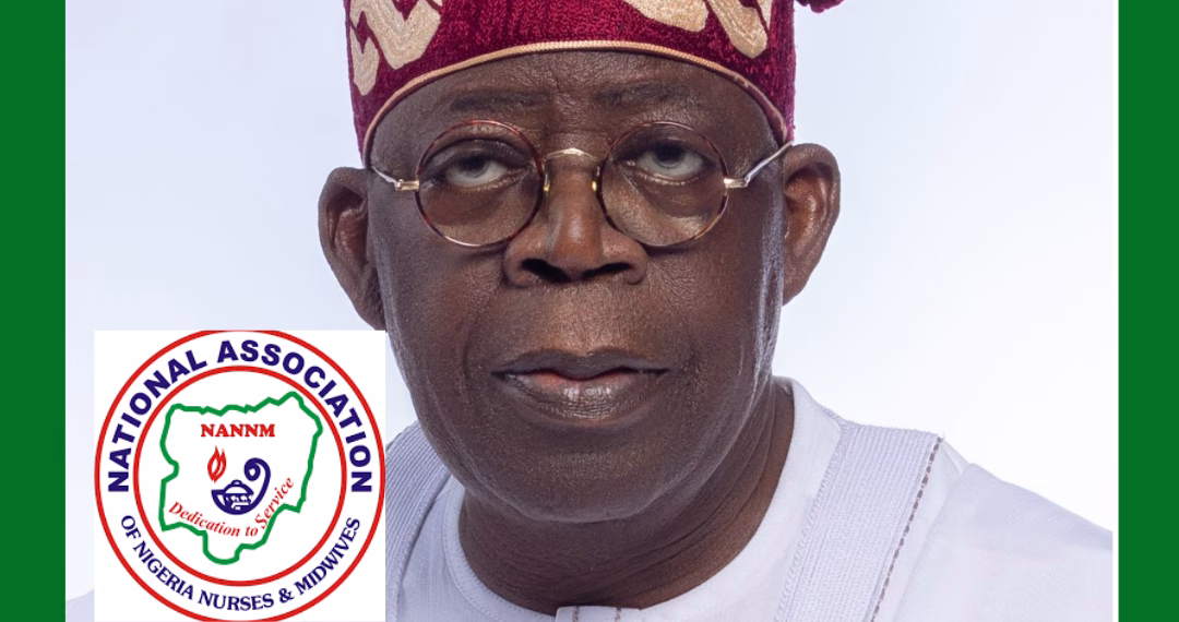 NANNM Tells Tinubu: “We Will Never Disappoint You” as Government Expands Nurse Training to 110,000