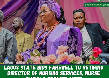 Lagos State Bids Farewell to Retiring Director of Nursing Services, Nurse Olusola Bernice Aketi