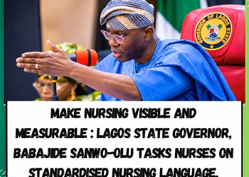 Make Nursing Visible and Measurable — Sanwo-Olu Tasks Nurses on Standardised Nursing Language